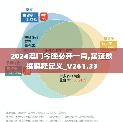 2024澳门今晚必开一肖,实证数据解释定义_V261.33