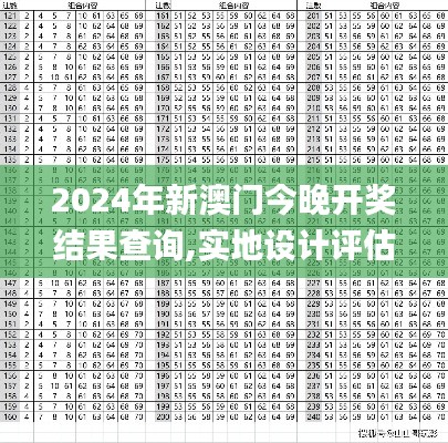 2024年新澳门今晚开奖结果查询,实地设计评估方案_Tizen12.320