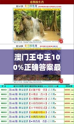 澳门王中王100%正确答案最新章节,准确资料解释落实_SHD25.811