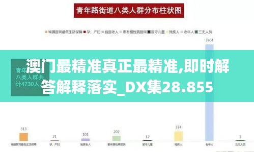 澳门最精准真正最精准,即时解答解释落实_DX集28.855