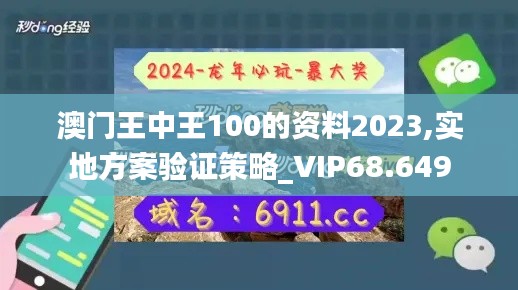 澳门王中王100的资料2023,实地方案验证策略_VIP68.649