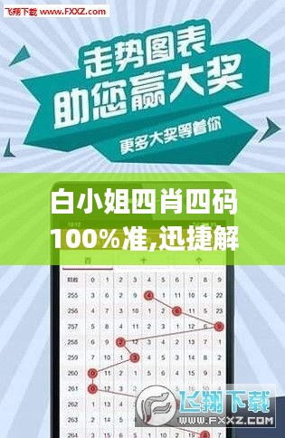 白小姐四肖四码100%准,迅捷解答方案设计_微型版76.114