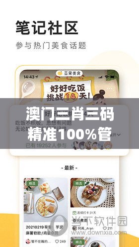 澳门三肖三码精准100%管家婆,实用性执行策略讲解_理财版46.973