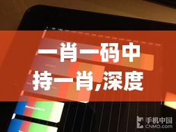 一肖一码中持一肖,深度应用数据解析_专属版74.755