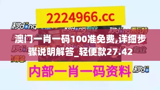 澳门一肖一码100准免费,详细步骤说明解答_轻便款27.42