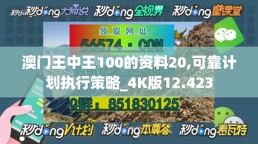 澳门王中王100的资料20,可靠计划执行策略_4K版12.423