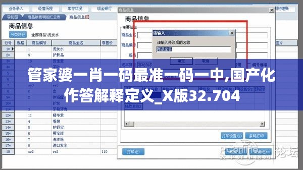 管家婆一肖一码最准一码一中,国产化作答解释定义_X版32.704