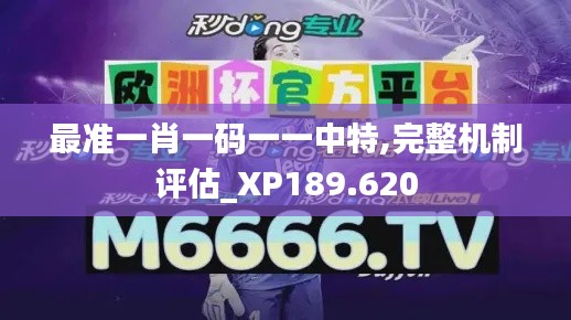 最准一肖一码一一中特,完整机制评估_XP189.620