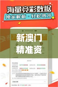 新澳门精准资料大全管家婆料,快速设计问题计划_HarmonyOS19.437