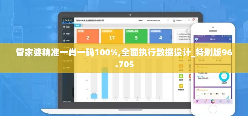 管家婆精准一肖一码100%,全面执行数据设计_特别版96.705