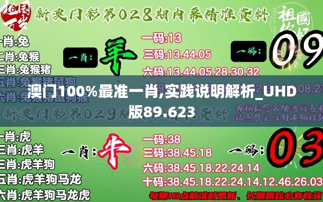 澳门100%最准一肖,实践说明解析_UHD版89.623