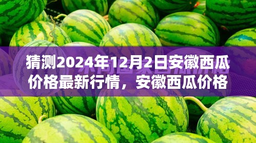 2024年12月2日安徽西瓜价格预测与行情展望，专家观点碰撞