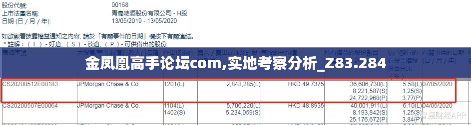 金凤凰高手论坛com,实地考察分析_Z83.284