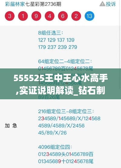 555525王中王心水高手,实证说明解读_钻石制31.251