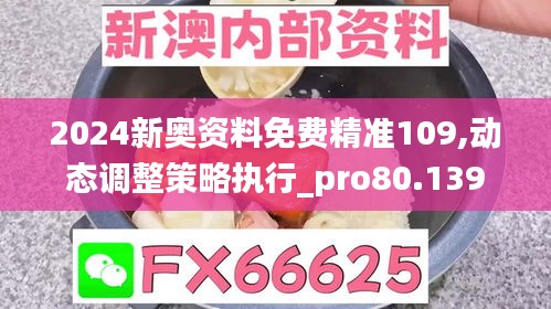 2024新奥资料免费精准109,动态调整策略执行_pro80.139