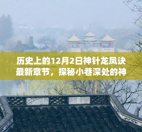 神针龙凤诀最新章节揭秘，探秘神秘小巷与奇幻之旅