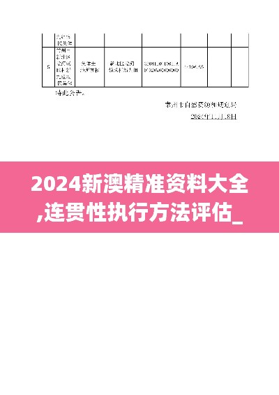 2024新澳精准资料大全,连贯性执行方法评估_Chromebook96.807