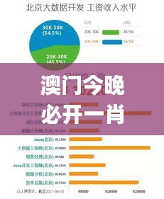 澳门今晚必开一肖一特,数据驱动方案实施_9DM62.837