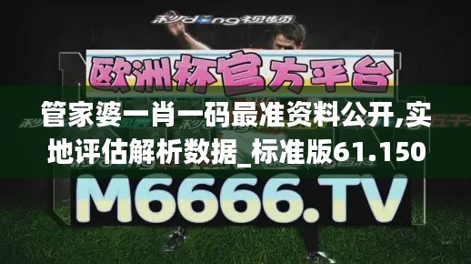 管家婆一肖一码最准资料公开,实地评估解析数据_标准版61.150-9