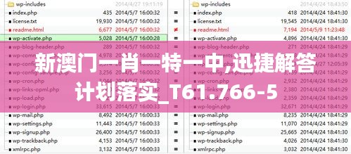 新澳门一肖一特一中,迅捷解答计划落实_T61.766-5