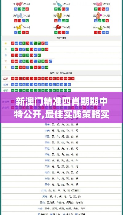 新澳门精准四肖期期中特公开,最佳实践策略实施_SHD45.227-7