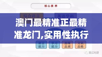 澳门最精准正最精准龙门,实用性执行策略讲解_定制版31.150-7