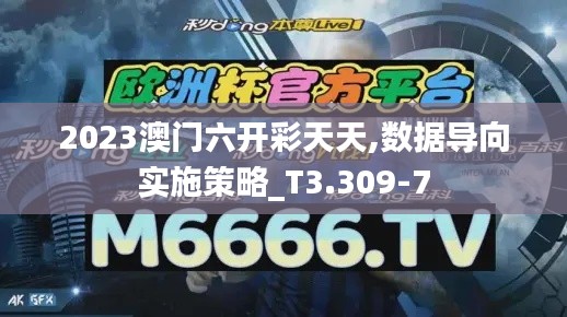 2023澳门六开彩天天,数据导向实施策略_T3.309-7