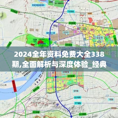 2024全年资料免费大全338期,全面解析与深度体验_经典版5.716-9