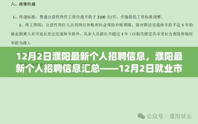 12月2日濮阳个人招聘信息大全，就业市场一览