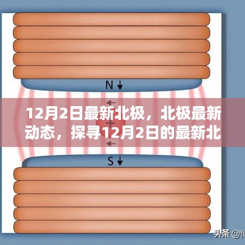 探寻北极奥秘，最新动态与奥秘揭秘（12月2日）