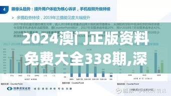 2024澳门正版资料免费大全338期,深度分析解释定义_创新版71.495-4