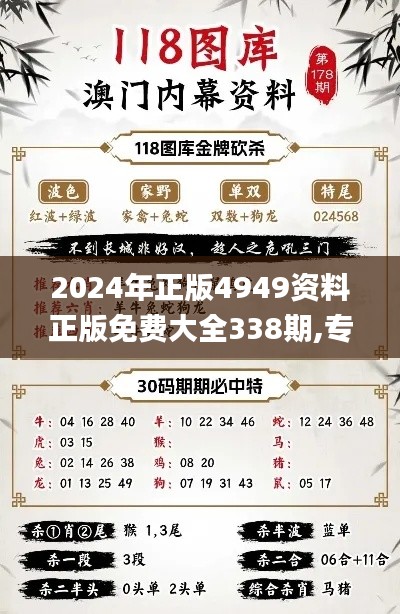 2024年正版4949资料正版免费大全338期,专业解析说明_创意版155.576-2