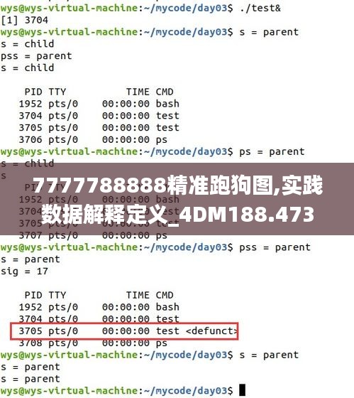 7777788888精准跑狗图,实践数据解释定义_4DM188.473-6