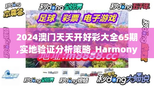 2024澳门天天开好彩大全65期,实地验证分析策略_Harmony10.839-6