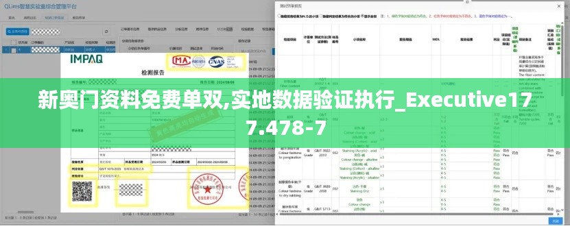 新奥门资料免费单双,实地数据验证执行_Executive177.478-7