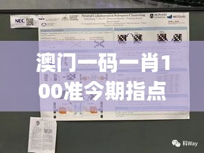 澳门一码一肖100准今期指点,创新发展策略_AZQ7.486魔力版