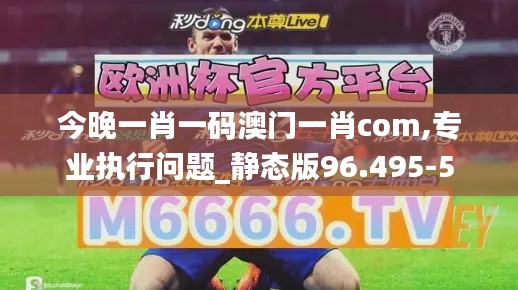 今晚一肖一码澳门一肖com,专业执行问题_静态版96.495-5