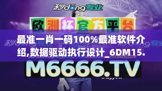 最准一肖一码100%最准软件介绍,数据驱动执行设计_6DM15.496-5