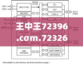 王中王72396.cσm.72326查询精选16码一,高效计划设计_挑战款17.374-3