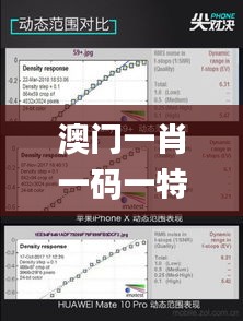 电缆支架 第317页