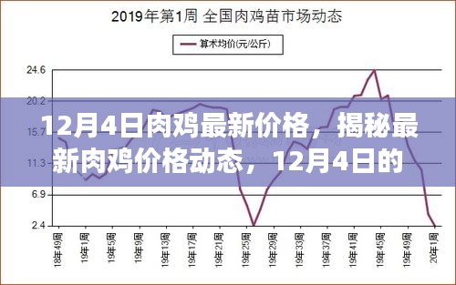 揭秘，最新肉鸡价格动态与行业洞察（12月4日）