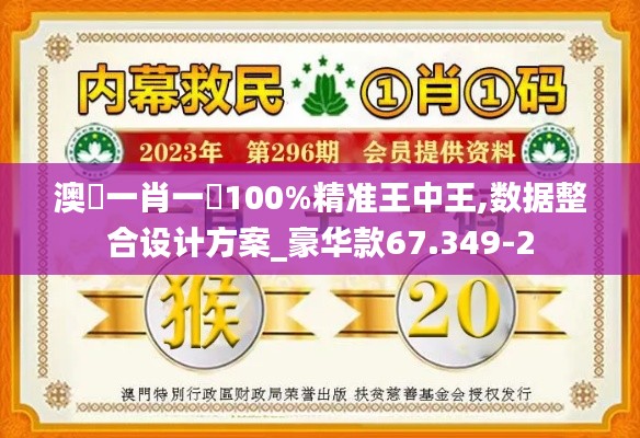 澳門一肖一碼100%精准王中王,数据整合设计方案_豪华款67.349-2