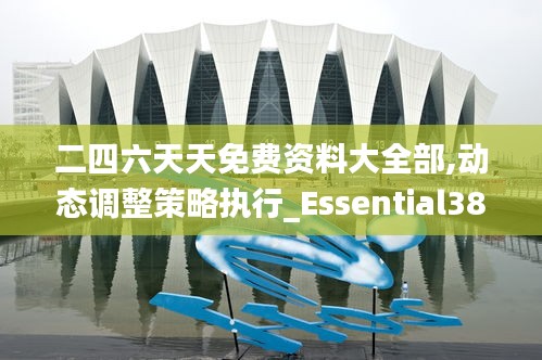 二四六天天免费资料大全部,动态调整策略执行_Essential38.621