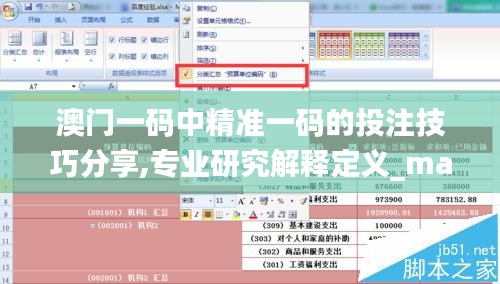 澳门一码中精准一码的投注技巧分享,专业研究解释定义_macOS65.897