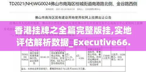 香港挂牌之全篇完整版挂,实地评估解析数据_Executive66.758