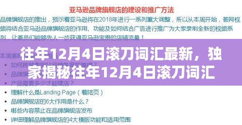 独家揭秘，往年12月4日滚刀词汇更新，必备新词库大放送！