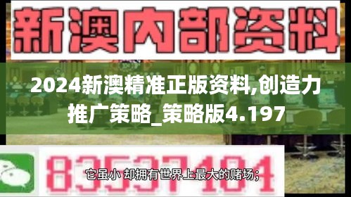 2024新澳精准正版资料,创造力推广策略_策略版4.197