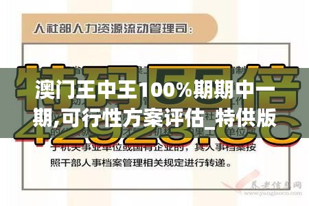 澳门王中王100%期期中一期,可行性方案评估_特供版17.485