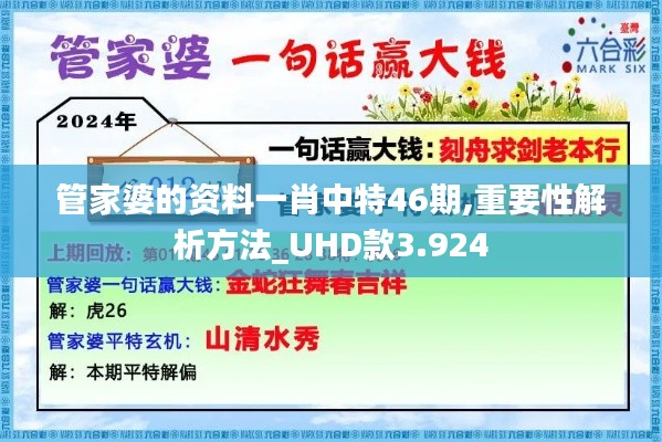 管家婆的资料一肖中特46期,重要性解析方法_UHD款3.924