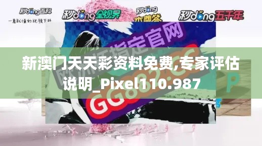 新澳门天天彩资料免费,专家评估说明_Pixel110.987